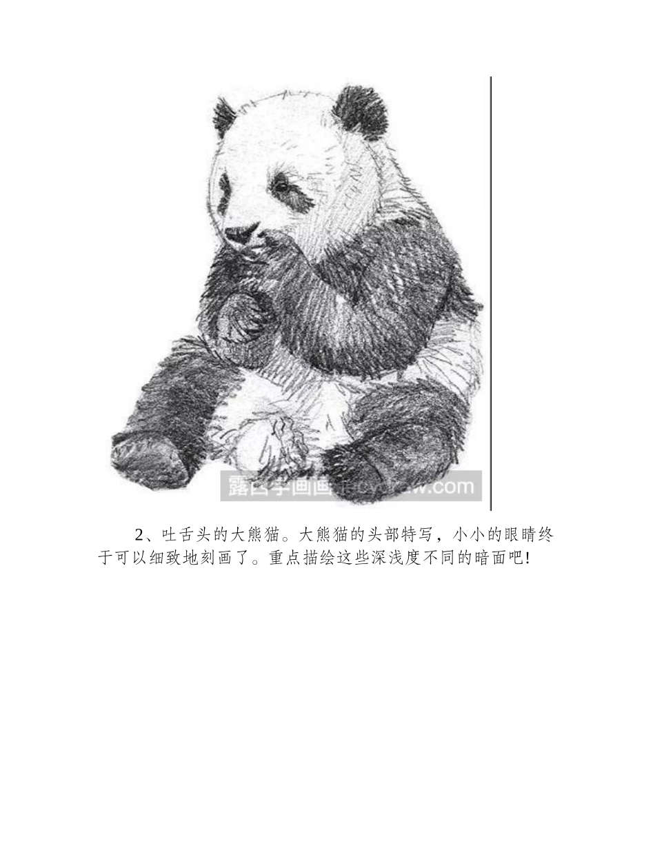 素描画大熊猫的各种姿态素描教程_第2页