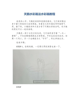 天鹅水彩画法水彩画教程