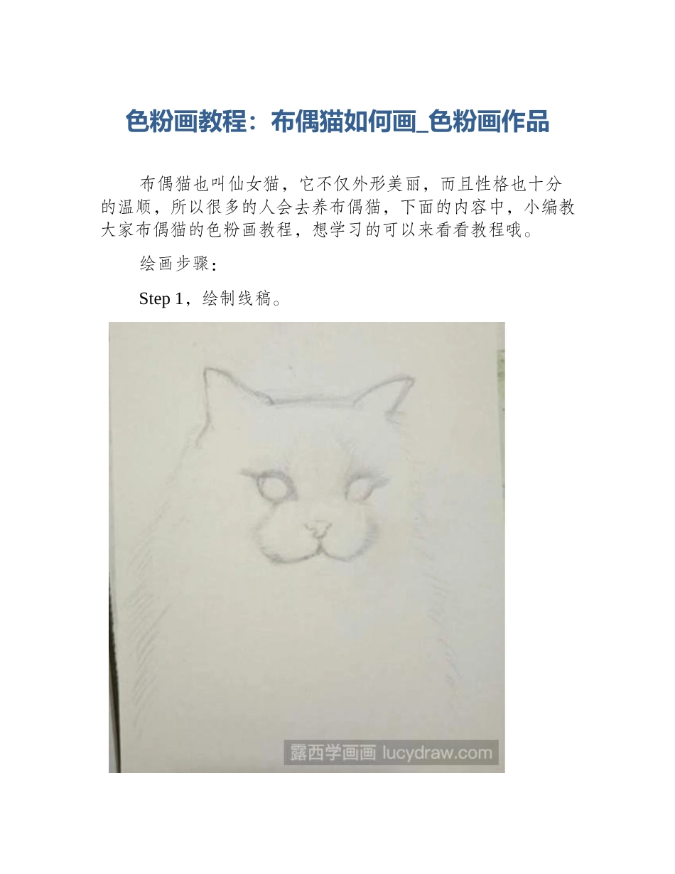 色粉画教程：布偶猫如何画_色粉画作品_第1页
