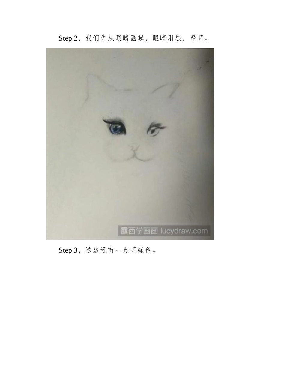 色粉画教程：布偶猫如何画_色粉画作品_第2页