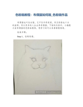 色粉画教程：布偶猫如何画_色粉画作品