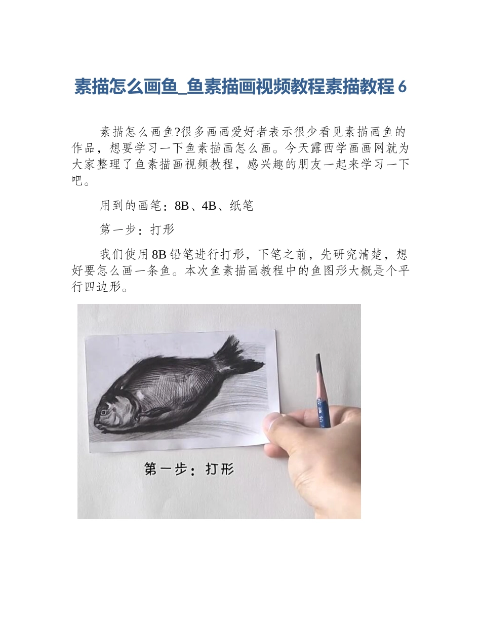 素描怎么画鱼_鱼素描画视频教程素描教程6_第1页