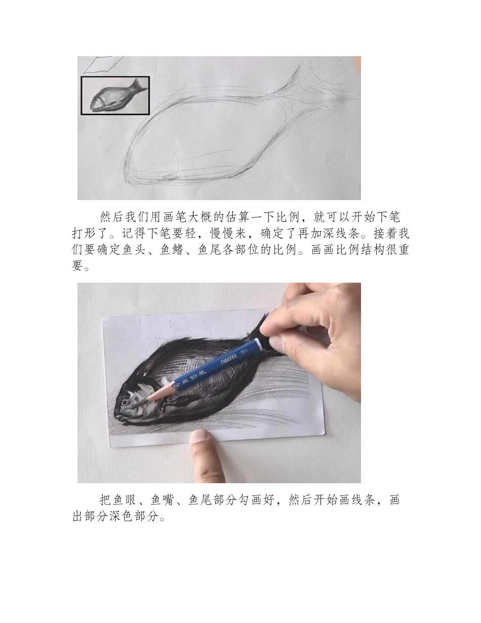 素描怎么画鱼_鱼素描画视频教程素描教程6_第2页