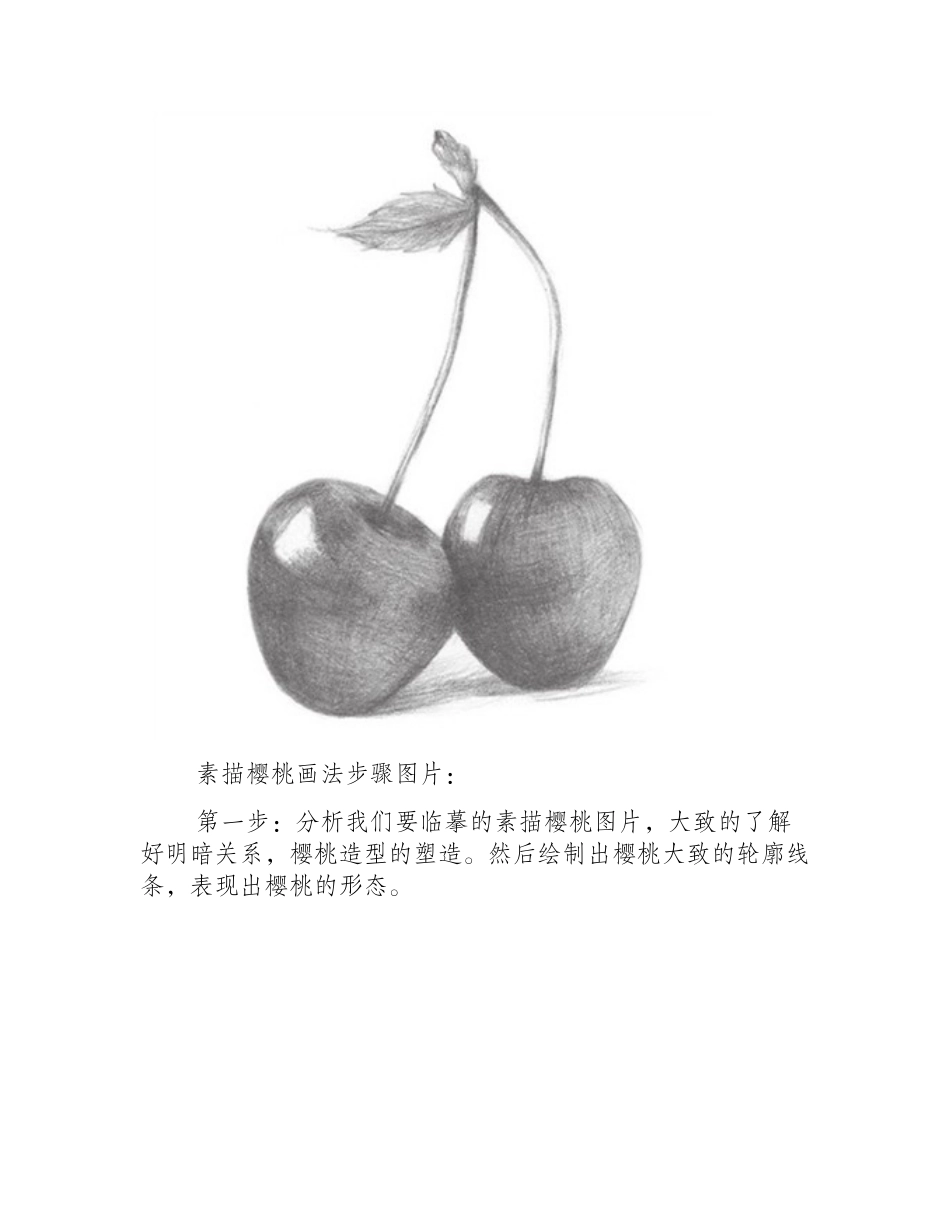 素描樱桃画法步骤图片素描教程1_第2页