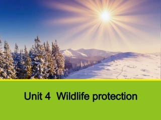 人教英语必修二同课异构课件：Unit4WildlifeprotectionSectionCGrammar1