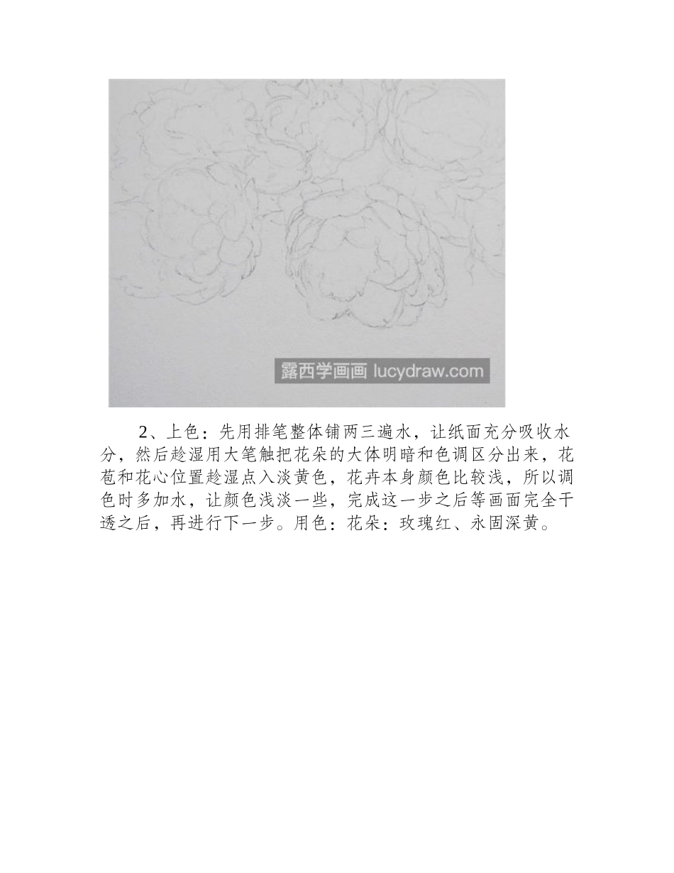 芍药花怎么画_水彩芍药图文步骤有哪些_水彩画教程_第2页