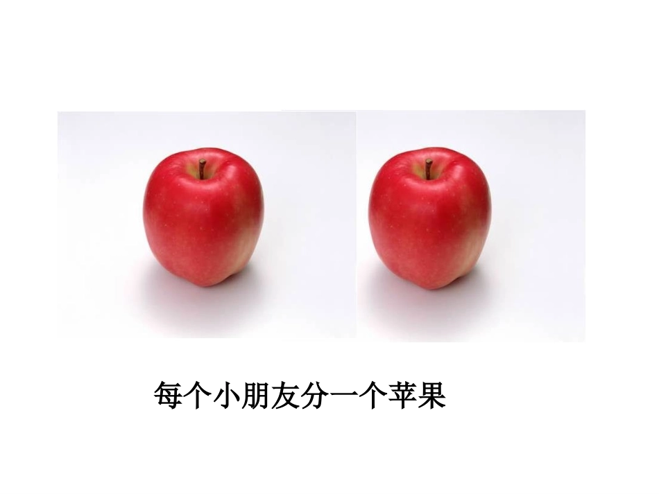 北师大版小学数学三年级下册分一分_第3页