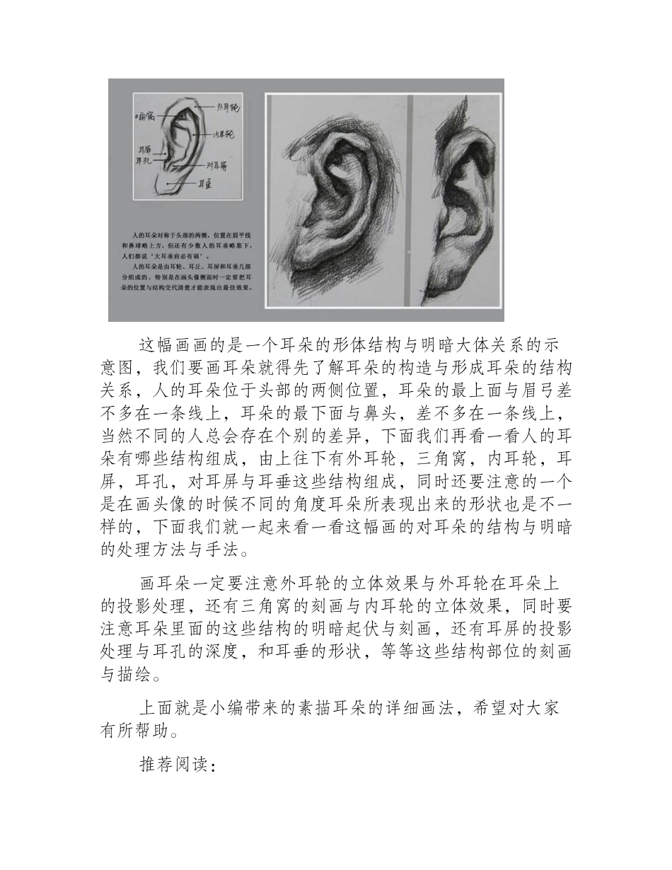 素描耳朵的详细画法是什么素描教程1_第2页