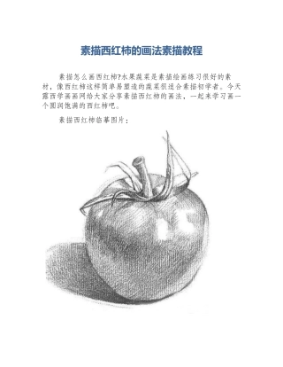 素描西红柿的画法素描教程