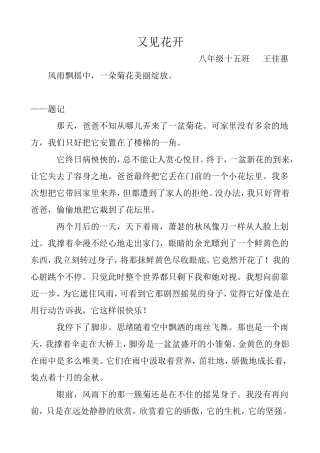 又见花开王佳惠