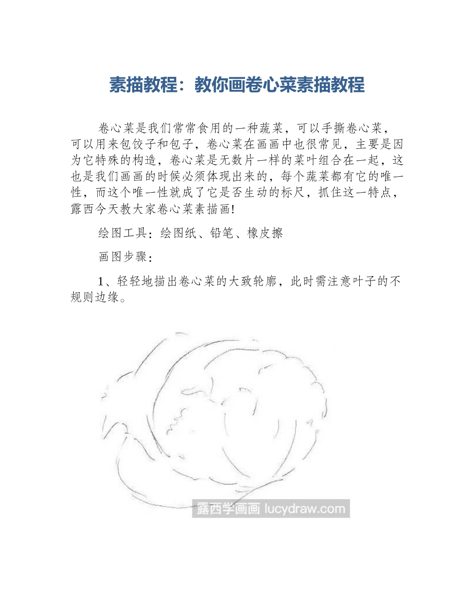 素描教程：教你画卷心菜素描教程_第1页
