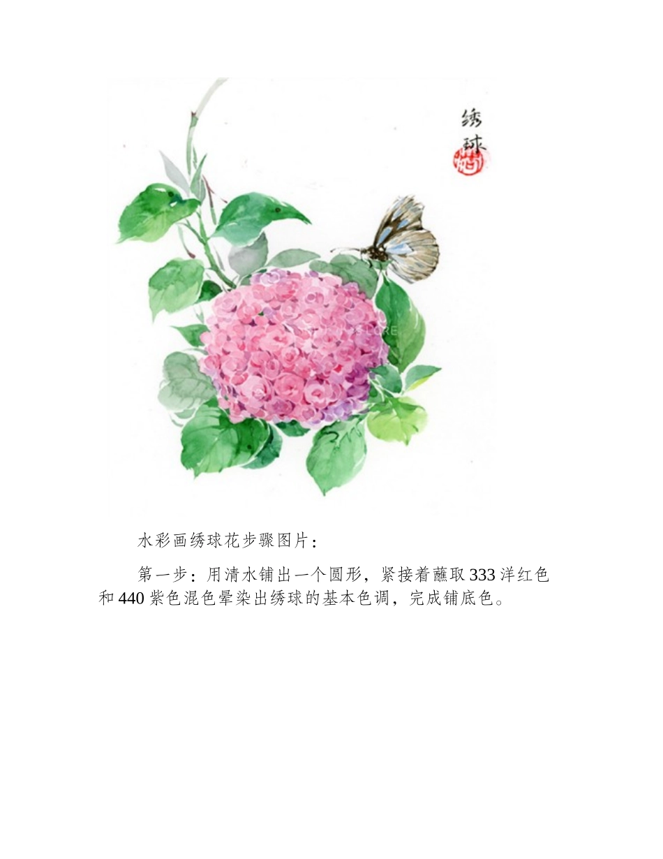 水彩花卉教程步骤图片：水彩画绣球花水彩画教程_第2页