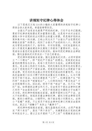 讲规矩守纪律心得体会