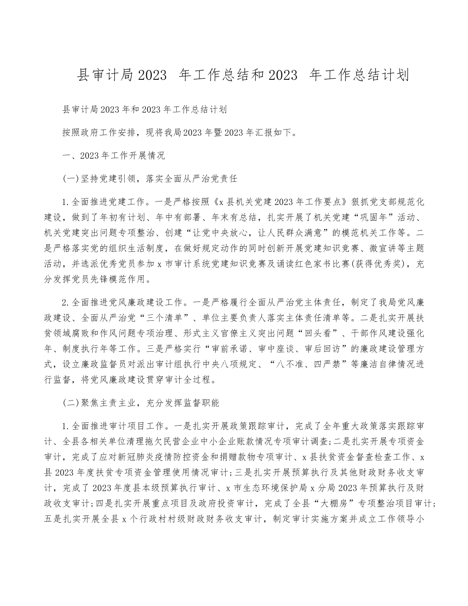 县审计局2023年工作总结和2023年工作计划 _第1页