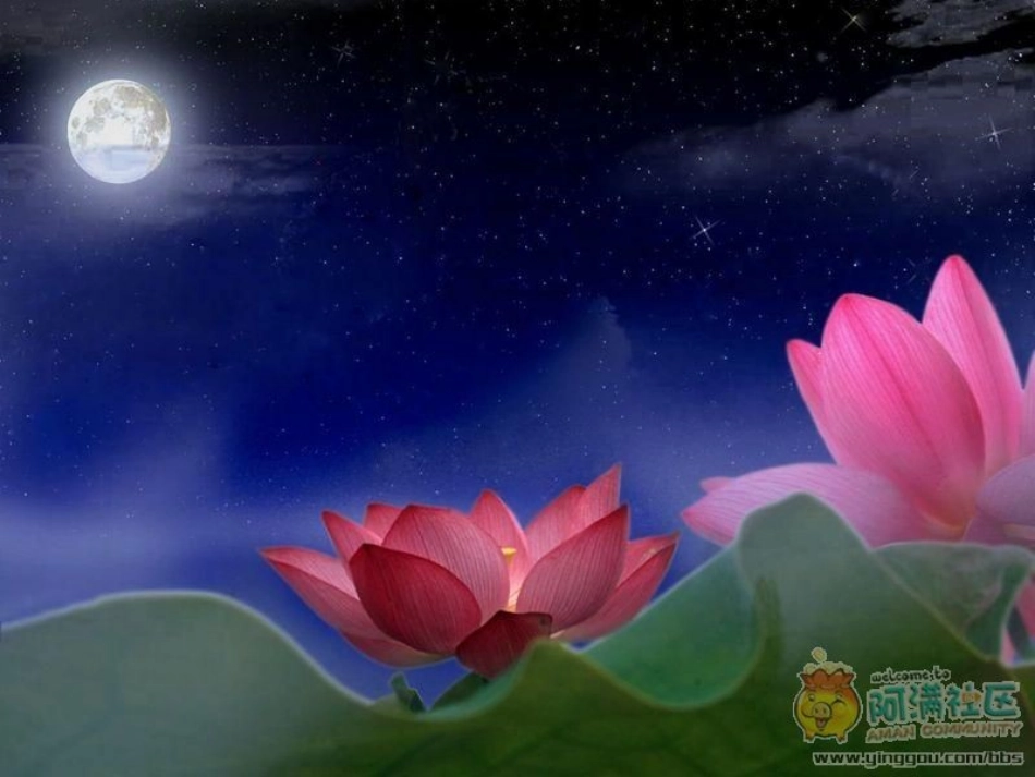 《芙蕖》课件_第2页