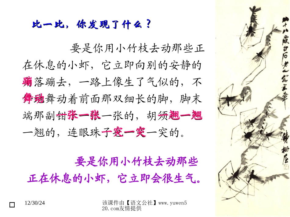 【北师大】三年级下册《小虾》教学课件(1)_第3页