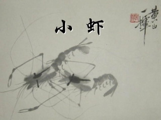 【北师大】三年级下册《小虾》教学课件(1)