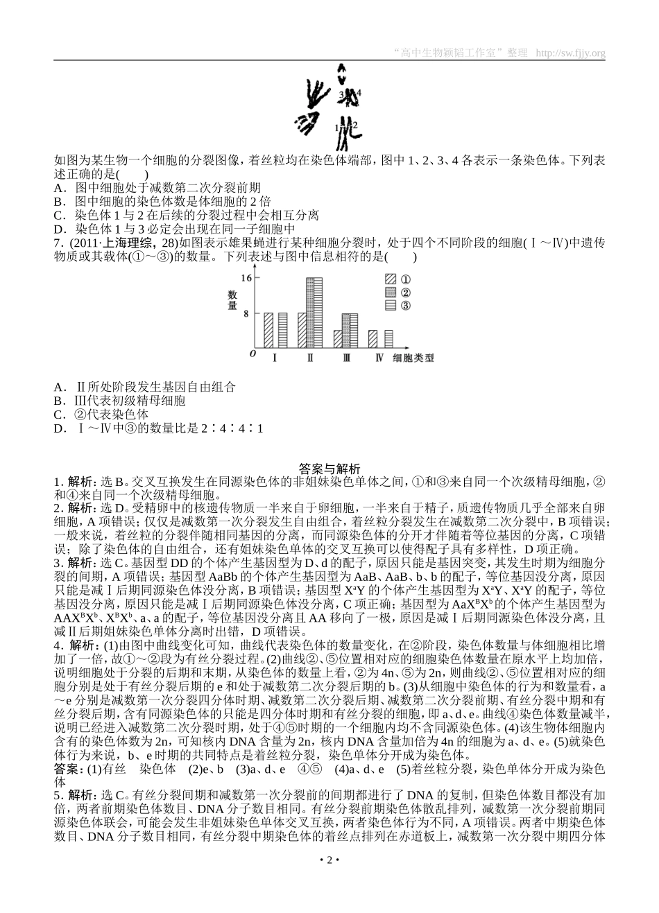 2015届《优化方案》高考生物（苏教版）一轮随堂检测：第13讲减数分裂和有性生殖_第2页
