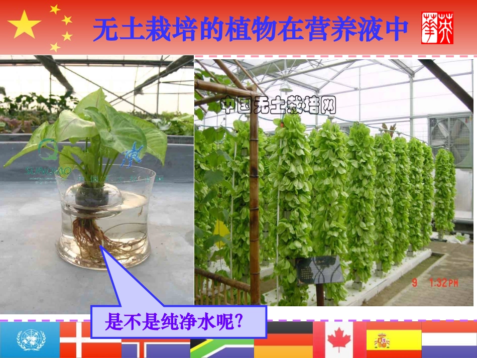 课题1　溶液的形成1_第3页