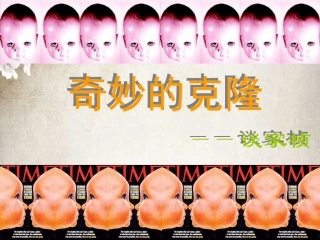 奇妙的克隆 (2)
