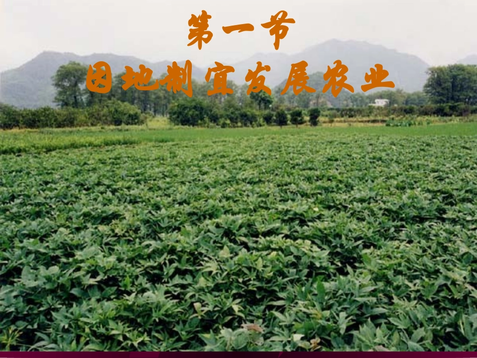 因地制宜发展农业_第1页