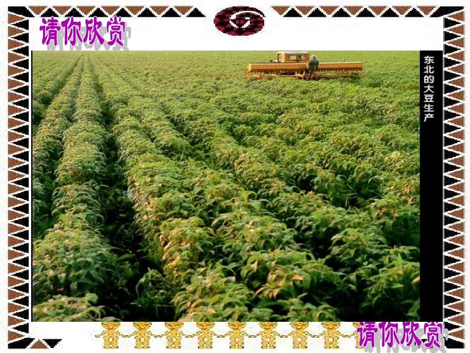 因地制宜发展农业_第3页
