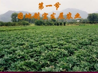 因地制宜发展农业