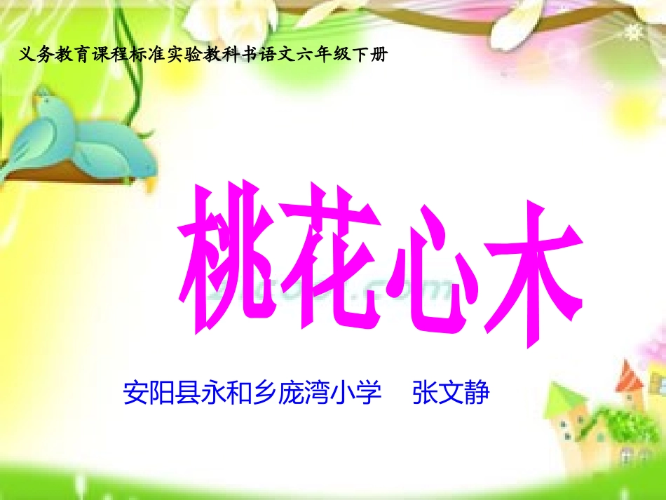 《桃花心木》课件_第1页