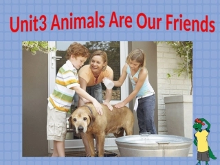 八年级下册第三单元课件Lesson13