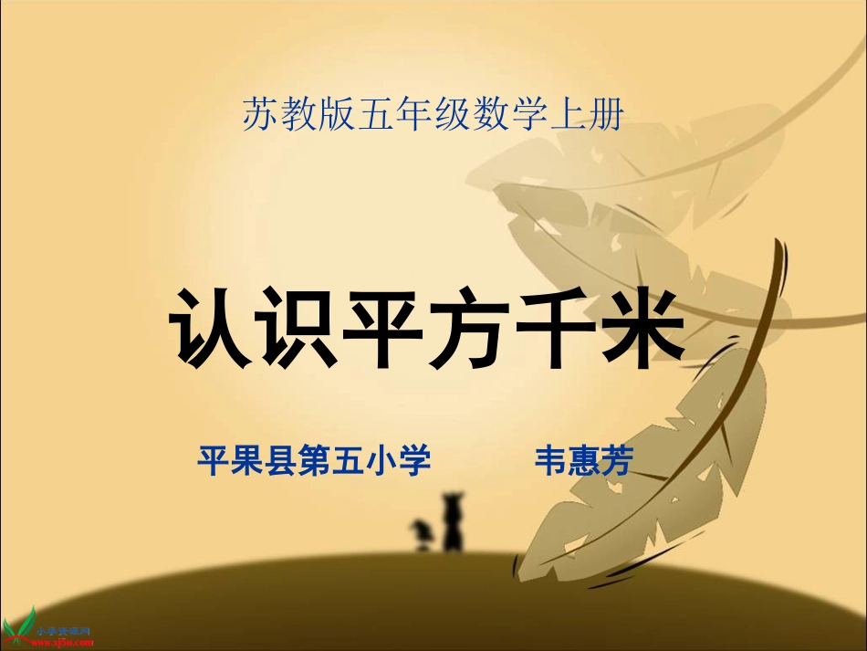 《认识平方千米》PPT课件_第1页