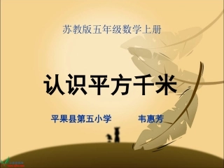 《认识平方千米》PPT课件