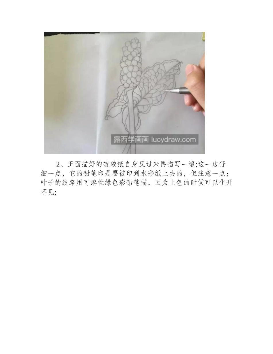 桑葚怎么画_如何画出圆形果蔬的立体感_水彩画教程_第2页