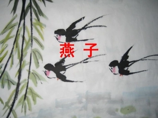 《燕子（第二课时）》课件