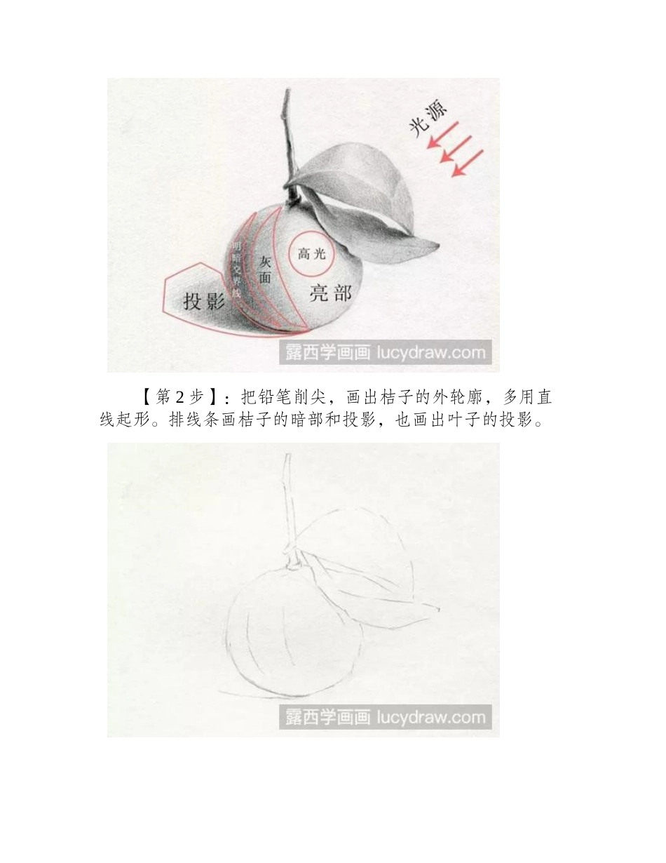 素描桔子的画法素描教程_第2页