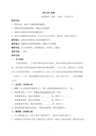 《桥之美》教案—安娜