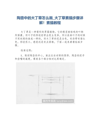 陶壶中的大丁草怎么画_大丁草素描步骤详解！素描教程