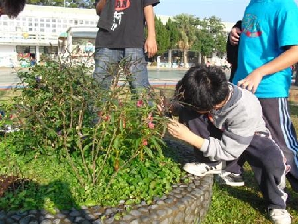 [中学联盟]广东省台山市新宁中学七年级生物上册教学课件：第一单元+第一章+第2节+调查校园周围边环境中的生物（共15张PPT）(1)_第2页