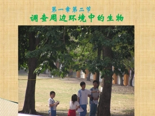[中学联盟]广东省台山市新宁中学七年级生物上册教学课件：第一单元+第一章+第2节+调查校园周围边环境中的生物（共15张PPT）(1)