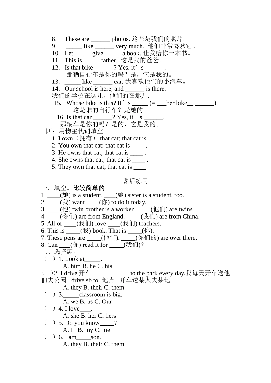 人称代词与物主代词练习_第3页