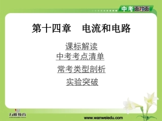 第十四章电流和电路