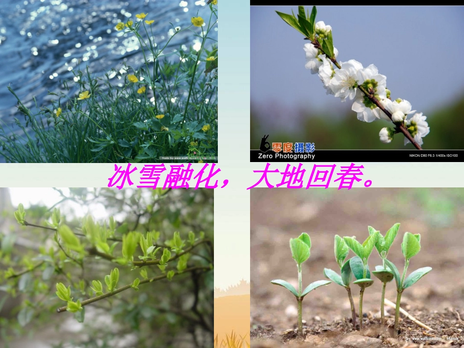 燕子  第一课时_第3页