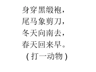 燕子  第一课时