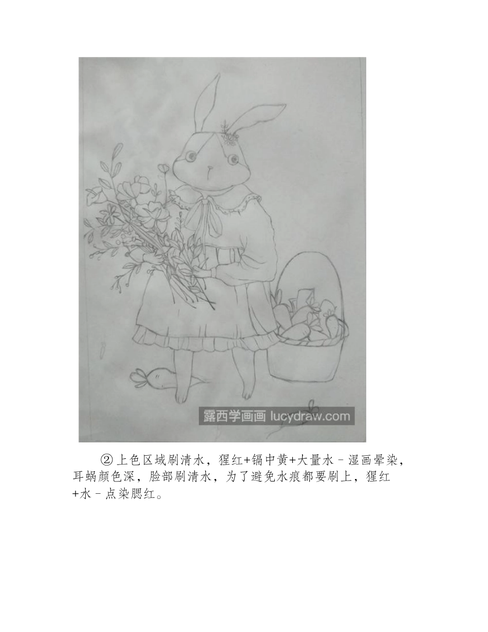 兔子小姐怎么画_有哪些插画步骤_插画教程_第2页