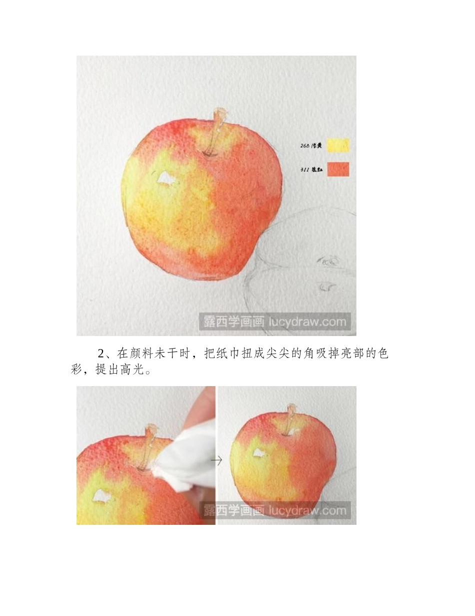 水彩苹果的画法水彩画教程1_第2页