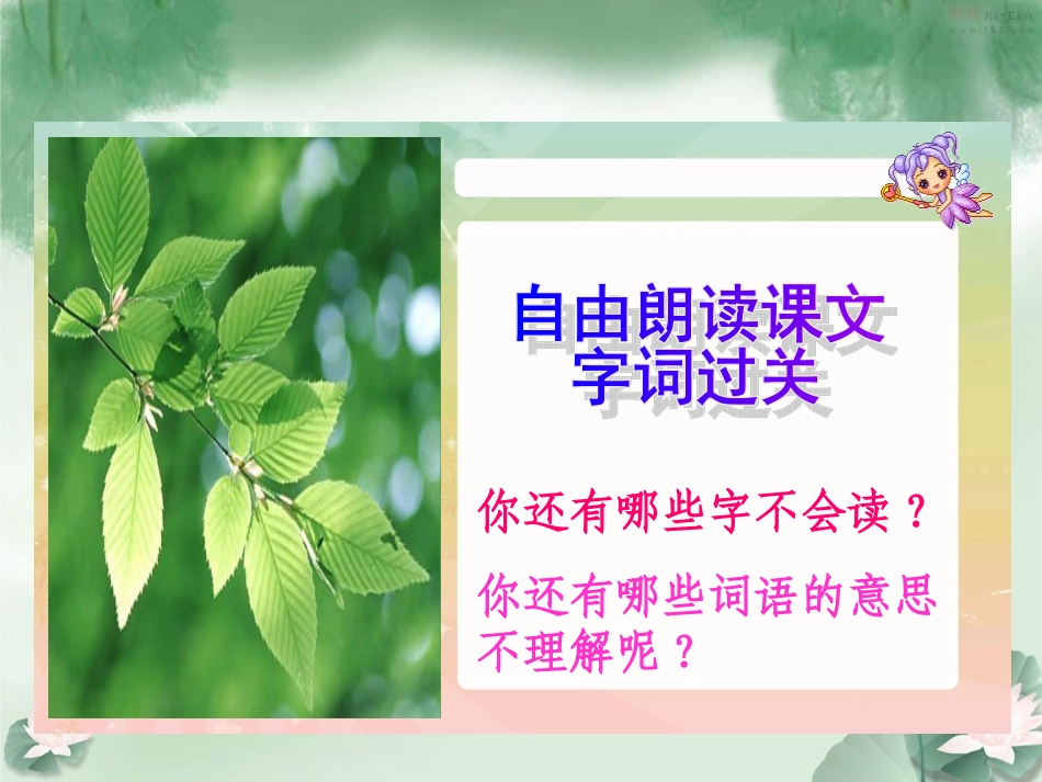 山中访友课件_第3页