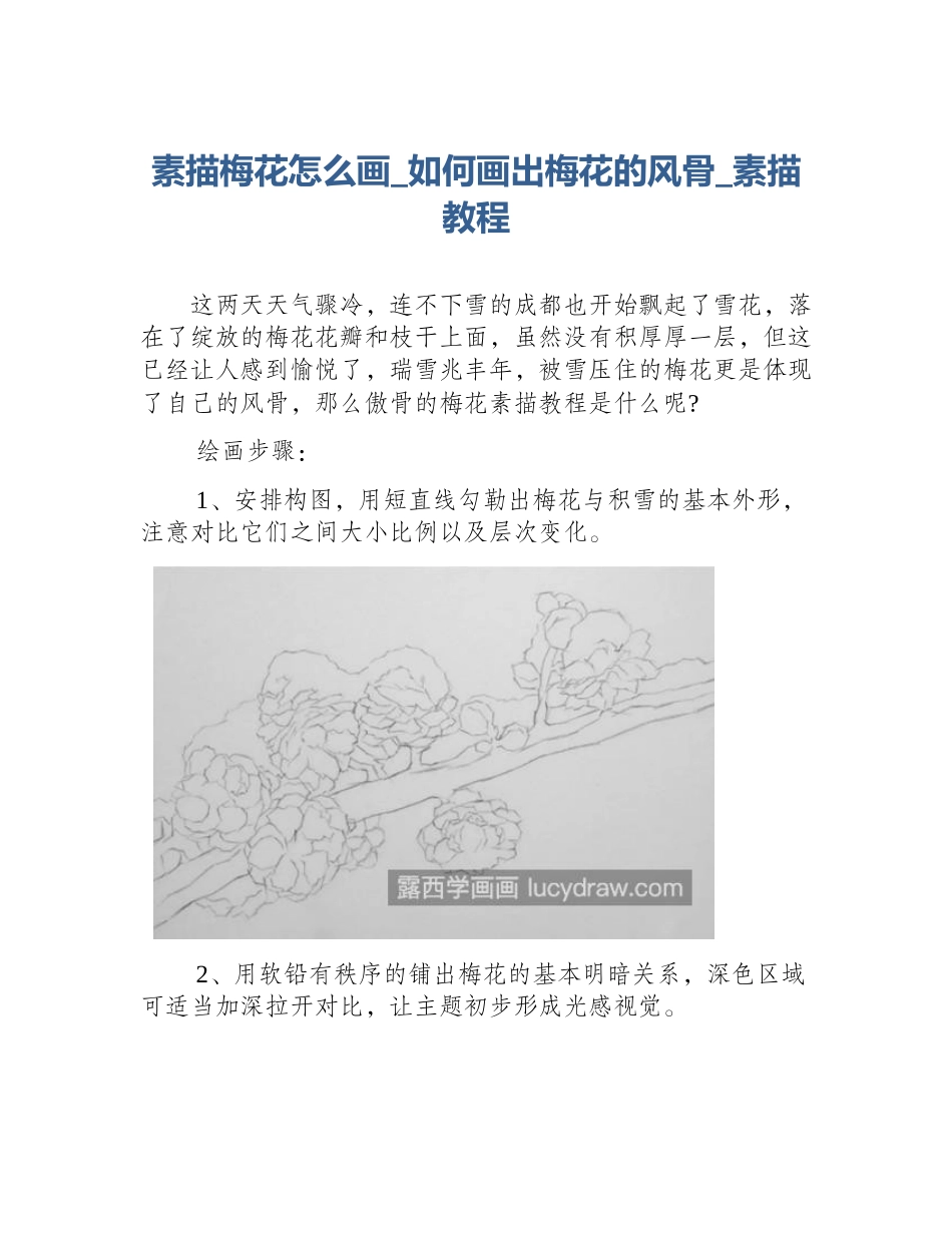 素描梅花怎么画_如何画出梅花的风骨_素描教程_第1页