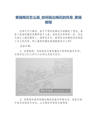 素描梅花怎么画_如何画出梅花的风骨_素描教程