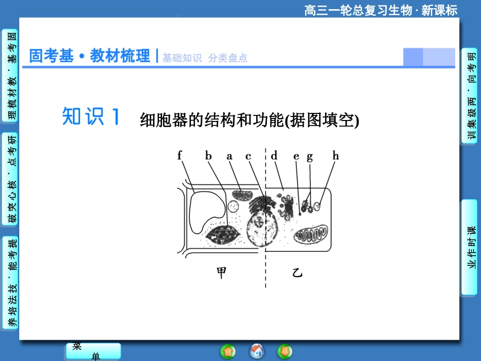 2015《课堂新坐标》高考生物大一轮复习配套课件：必修1-第2单元-第2讲_细胞器——系统内的分工合作_第3页
