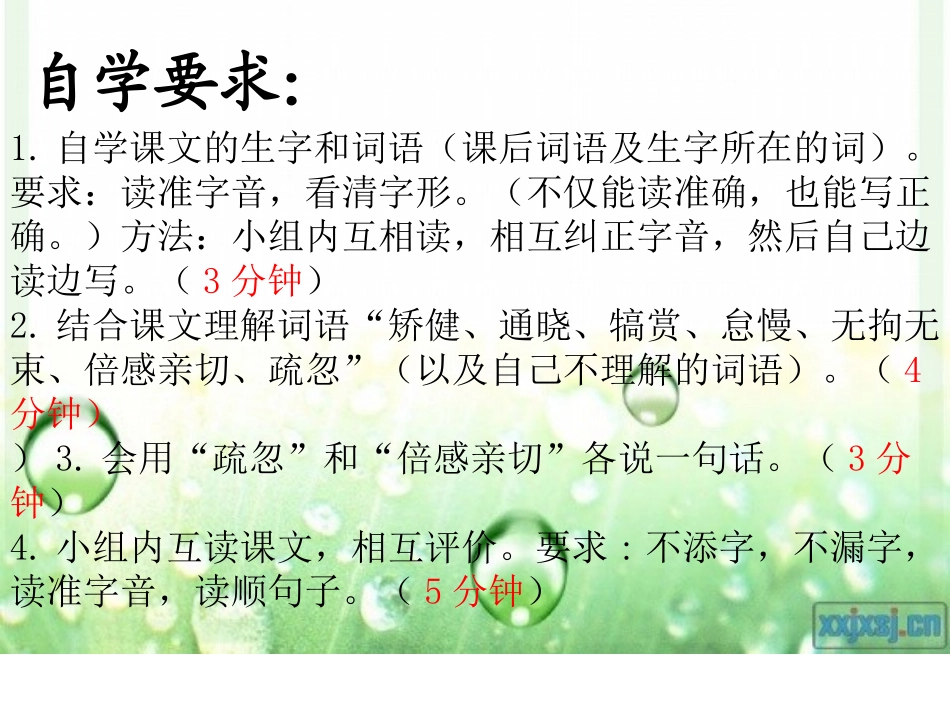 鸟语(公开课第一课时)3_第3页