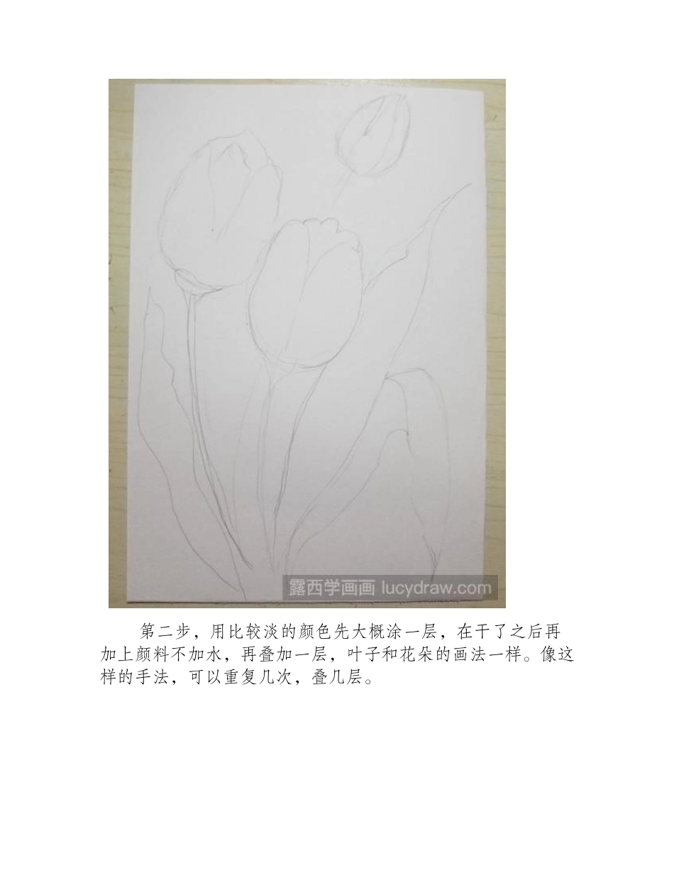 水彩画教程：教你四步画出郁金香水彩画教程_第2页